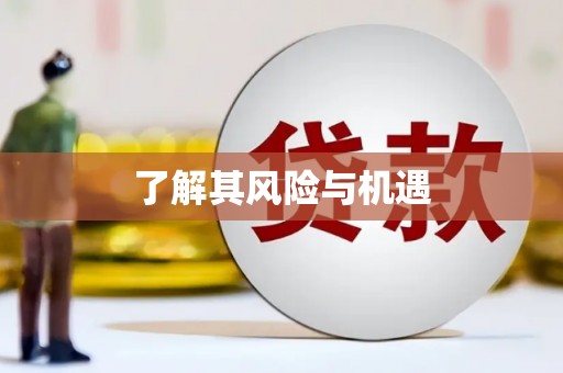 樊城了解其风险与机遇