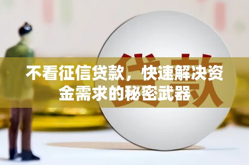 樊城不看征信贷款，快速解决资金需求的秘密武器