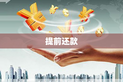 樊城提前还款