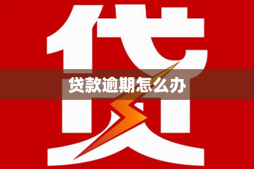 樊城贷款逾期怎么办