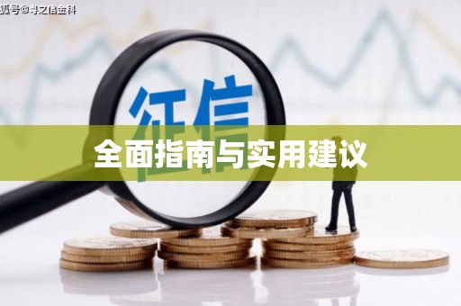 樊城全面指南与实用建议