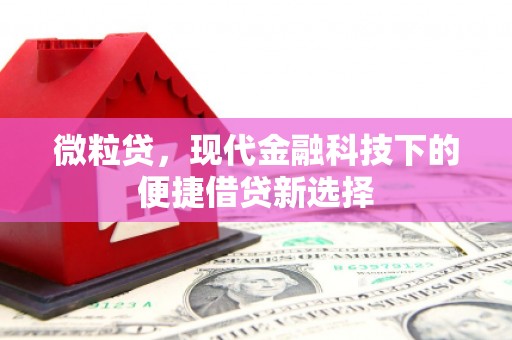 樊城微粒贷，现代金融科技下的便捷借贷新选择