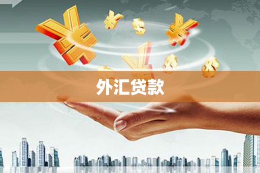 樊城外汇贷款