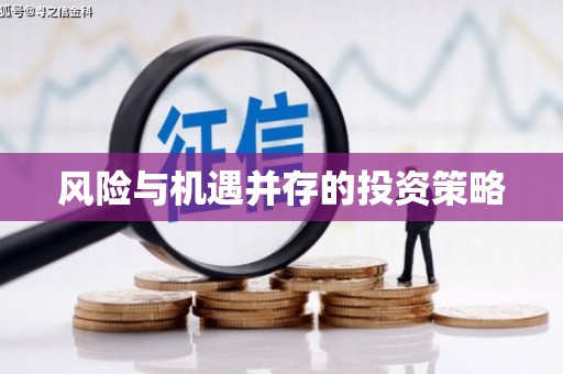 樊城风险与机遇并存的投资策略