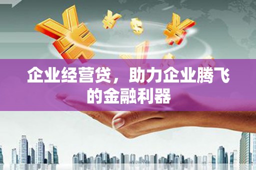 樊城企业经营贷，助力企业腾飞的金融利器