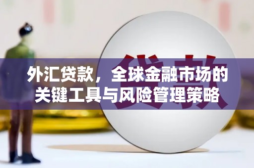 樊城外汇贷款，全球金融市场的关键工具与风险管理策略