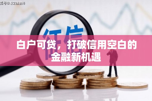 樊城白户可贷，打破信用空白的金融新机遇