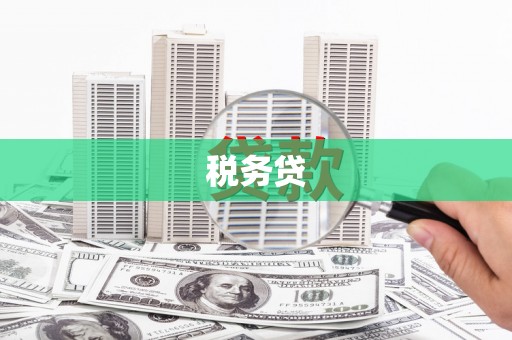 樊城税务贷