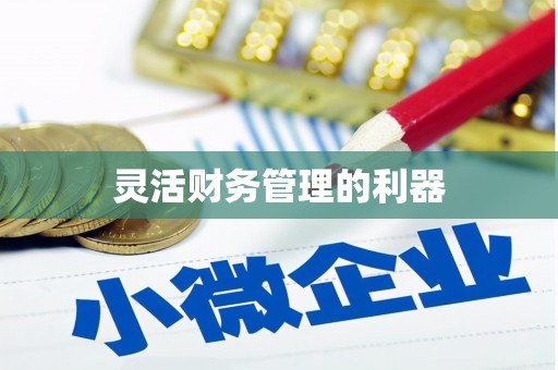 樊城灵活财务管理的利器