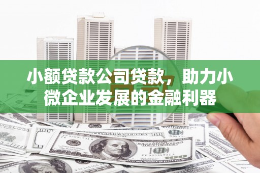 樊城小额贷款公司贷款，助力小微企业发展的金融利器