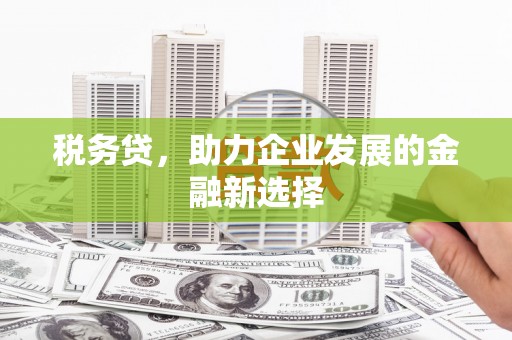 樊城税务贷，助力企业发展的金融新选择