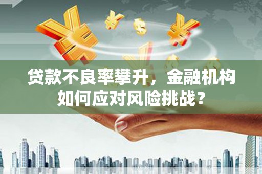 樊城贷款不良率攀升，金融机构如何应对风险挑战？