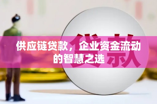 樊城供应链贷款，企业资金流动的智慧之选