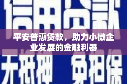 樊城平安普惠贷款，助力小微企业发展的金融利器