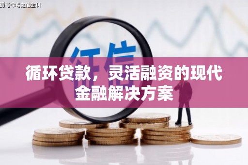 樊城循环贷款，灵活融资的现代金融解决方案