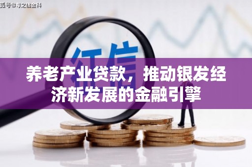 樊城养老产业贷款，推动银发经济新发展的金融引擎