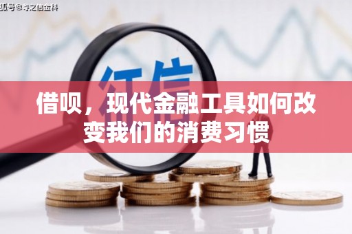 樊城借呗，现代金融工具如何改变我们的消费习惯