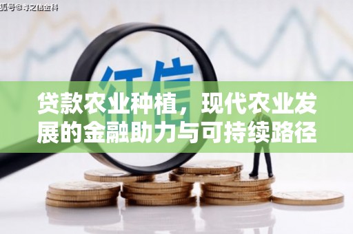 樊城贷款农业种植，现代农业发展的金融助力与可持续路径