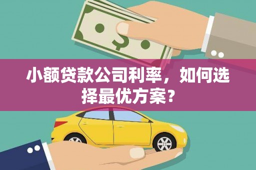 樊城小额贷款公司利率，如何选择最优方案？