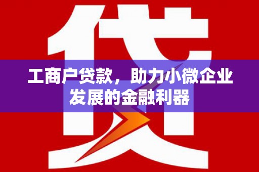 樊城工商户贷款，助力小微企业发展的金融利器