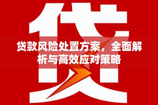樊城贷款风险处置方案，全面解析与高效应对策略