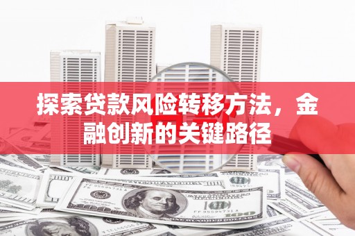 樊城探索贷款风险转移方法，金融创新的关键路径