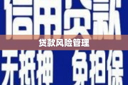 樊城贷款风险管理