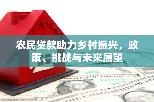 樊城农民贷款助力乡村振兴，政策、挑战与未来展望