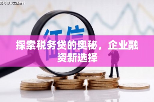 樊城探索税务贷的奥秘，企业融资新选择