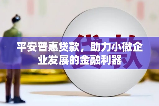 樊城平安普惠贷款，助力小微企业发展的金融利器