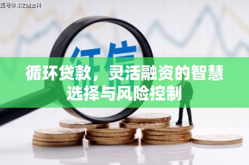 樊城循环贷款，灵活融资的智慧选择与风险控制