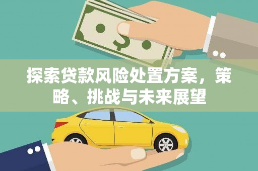 樊城探索贷款风险处置方案，策略、挑战与未来展望