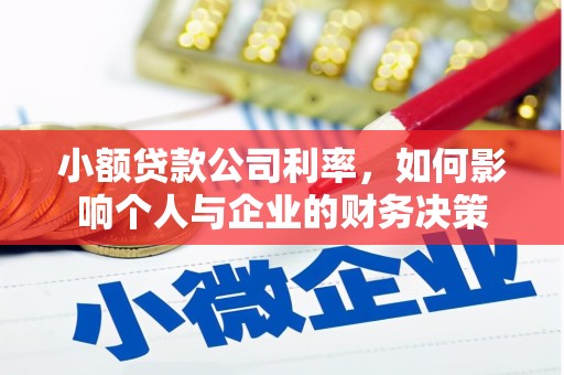 樊城小额贷款公司利率，如何影响个人与企业的财务决策