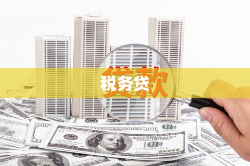 樊城税务贷