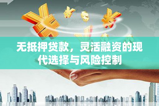 樊城无抵押贷款，灵活融资的现代选择与风险控制