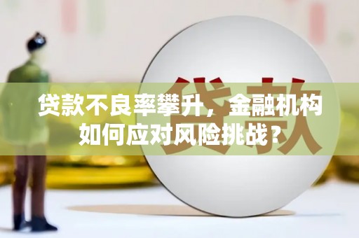 樊城贷款不良率攀升，金融机构如何应对风险挑战？