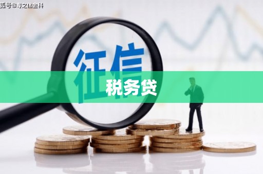 樊城税务贷