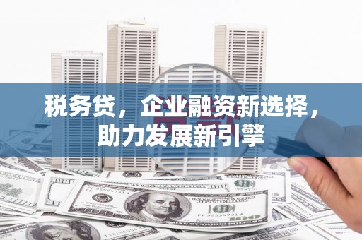 樊城税务贷，企业融资新选择，助力发展新引擎