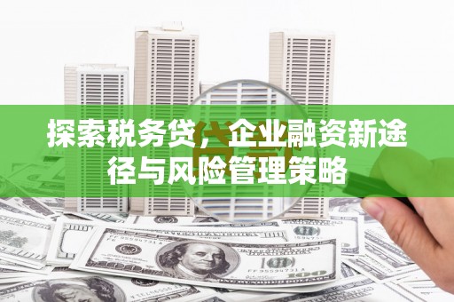 樊城探索税务贷，企业融资新途径与风险管理策略