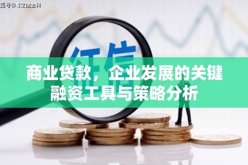 樊城商业贷款，企业发展的关键融资工具与策略分析