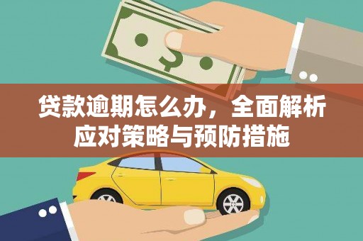 樊城贷款逾期怎么办，全面解析应对策略与预防措施