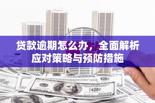 樊城贷款逾期怎么办，全面解析应对策略与预防措施