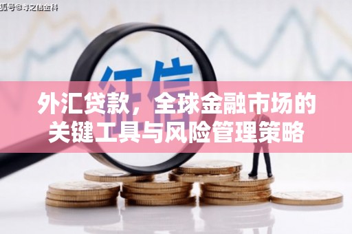 樊城外汇贷款，全球金融市场的关键工具与风险管理策略