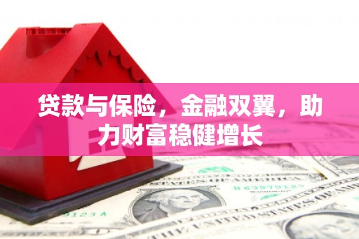 樊城贷款与保险，金融双翼，助力财富稳健增长