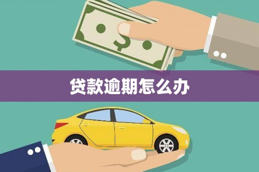 樊城贷款逾期怎么办