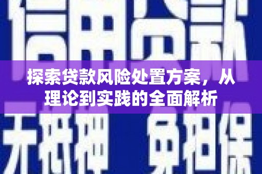 樊城探索贷款风险处置方案，从理论到实践的全面解析