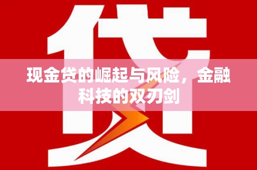 樊城现金贷的崛起与风险，金融科技的双刃剑