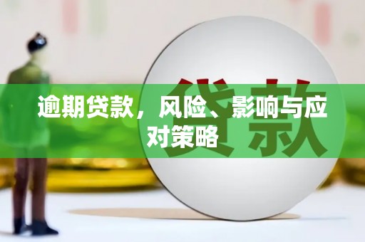 樊城逾期贷款，风险、影响与应对策略