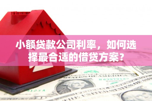 樊城小额贷款公司利率，如何选择最合适的借贷方案？