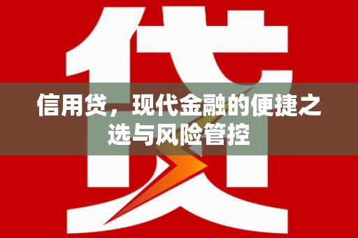 樊城信用贷，现代金融的便捷之选与风险管控
